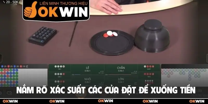 Cược Xóc Đĩa: Bí Kíp Kiếm Tiền Triệu Mỗi Ngày Tại Okwin 2 Nắm rõ xác suất các cửa đặt để dễ dàng xuống tiền